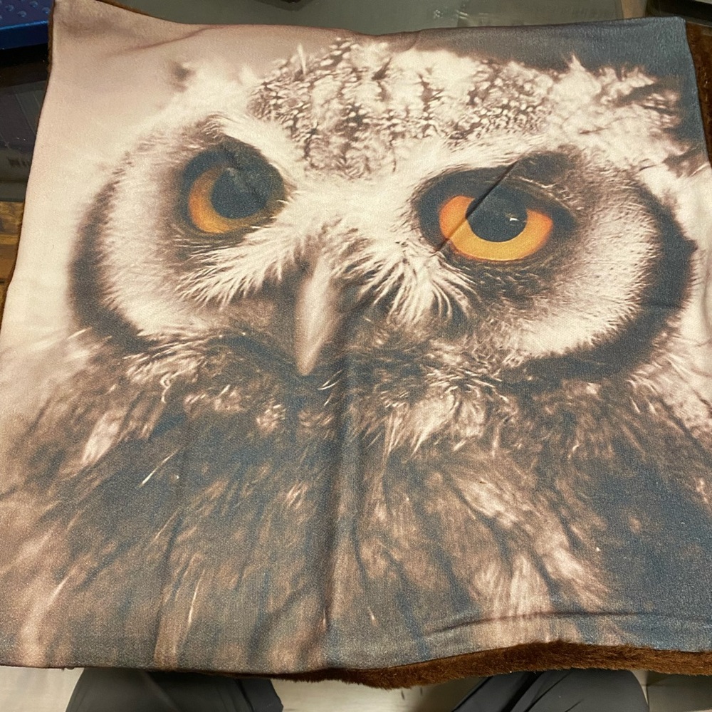 Pillow Cover Throw On 18x18 inch brand new in poly bag by Phantoscope “Owl”